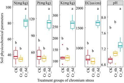 Response mechanisms of bacterial communities and nitrogen cycle functional genes in millet rhizosphere soil to chromium stress